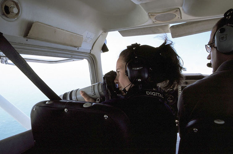 Adria Banks conducting aerial surveys in the San Juan Islands, WA, USA. Photo: A. Shirk