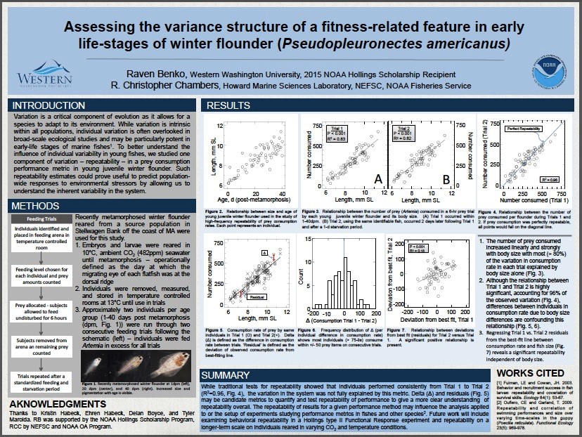 thumbnail of scientific poster