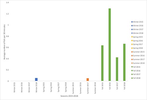 bar graph of seasons and average fish caught, with large green lines from Fall 2015 onward