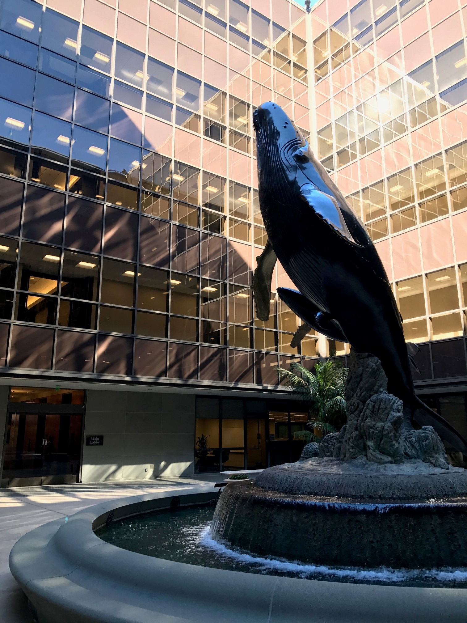 whale sculpture in a fountain outside of a building with rows of windows