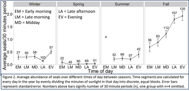 figure of the average abundance of seals over different times of day