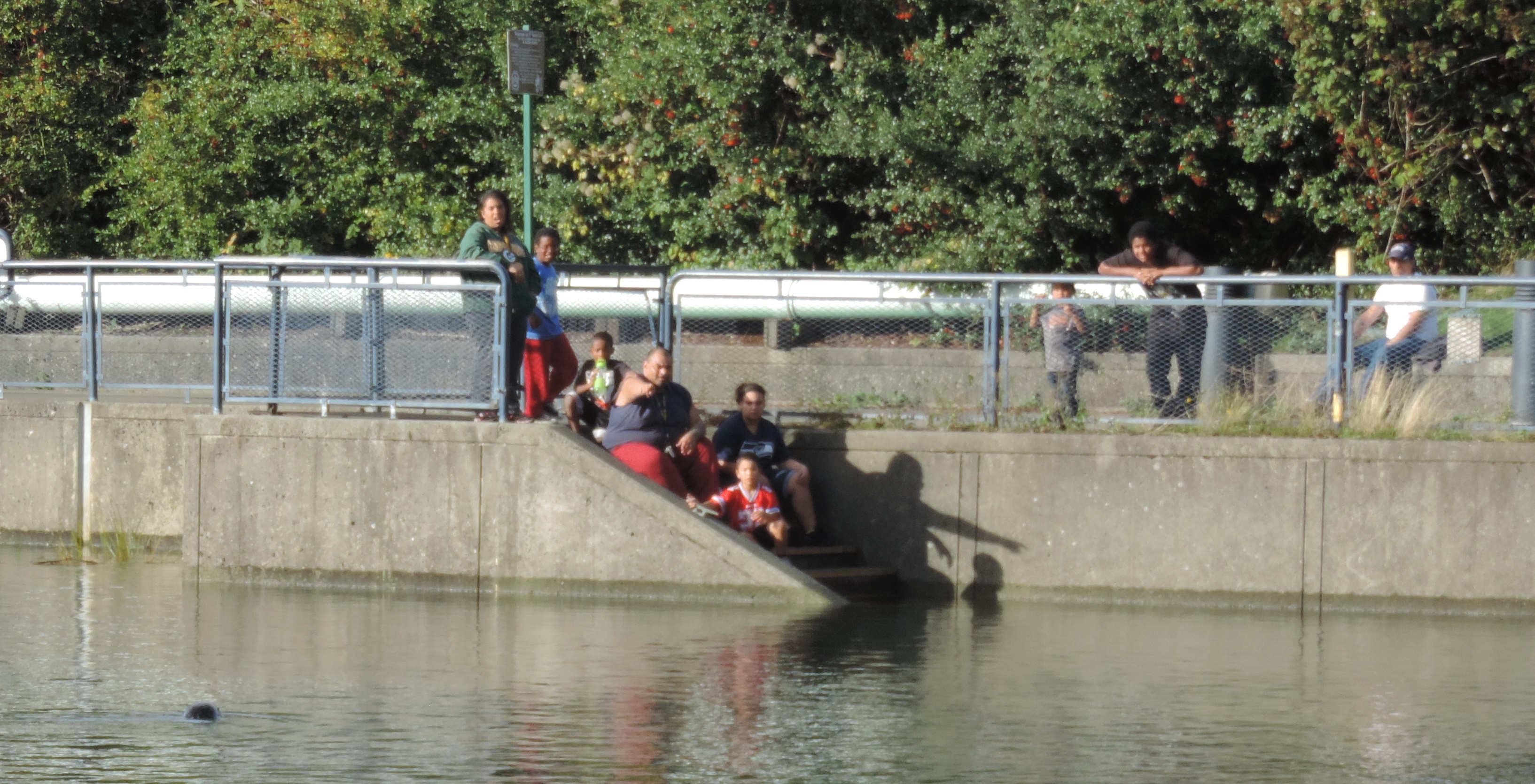 group of people on stairs leading into a waterway