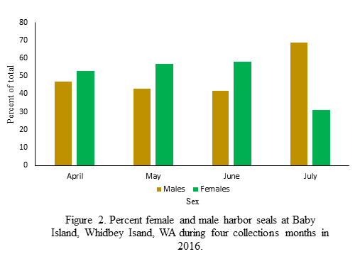 Figure 2. Percent female and male harbor seals at Baby Island