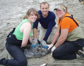 three people secure a seal pup and smile